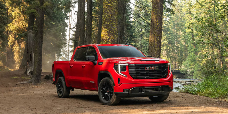 Red GMC truck on forest trail